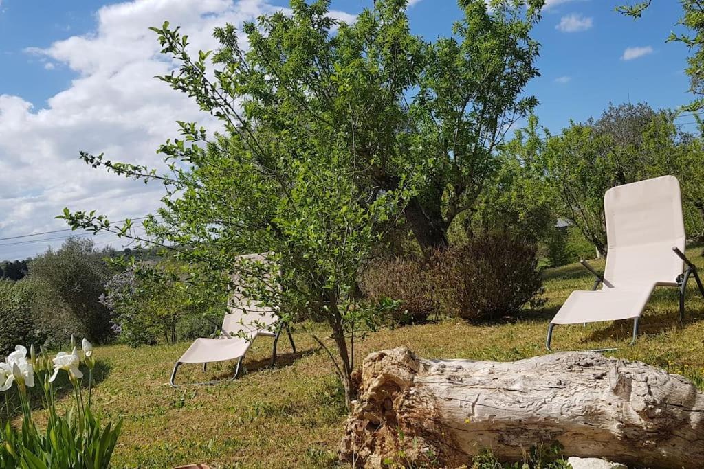 Podere Del Gelso Bianco, Vacation Rental אוסטוני מראה חיצוני תמונה