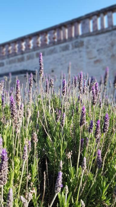Podere Del Gelso Bianco, Vacation Rental אוסטוני מראה חיצוני תמונה