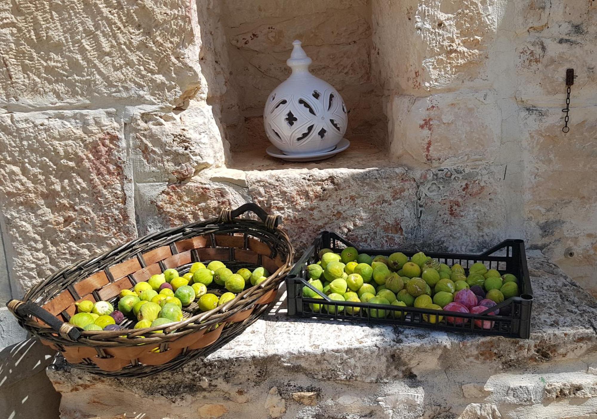 Podere Del Gelso Bianco, Vacation Rental אוסטוני מראה חיצוני תמונה