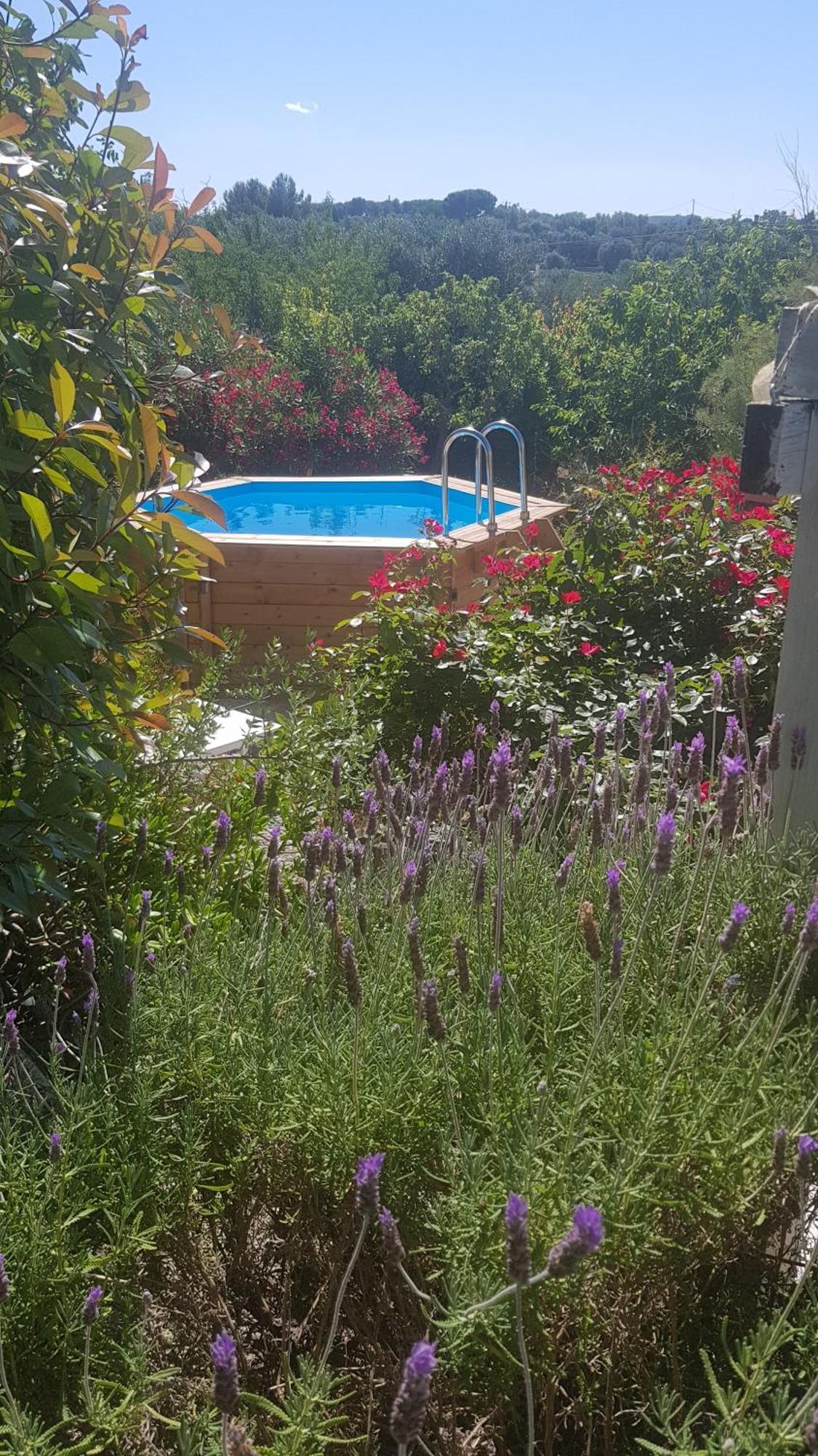 Podere Del Gelso Bianco, Vacation Rental אוסטוני מראה חיצוני תמונה